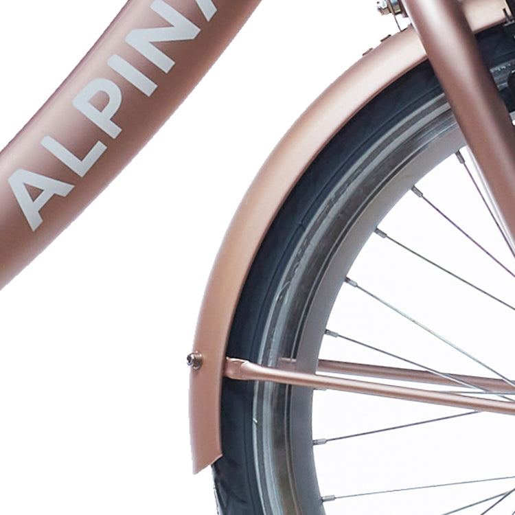 Set Alpina Fortboard + Rang 22 Clubb Rose Gold Matt