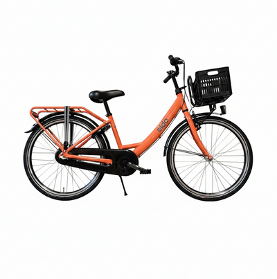 Aldo 24 pouces Carino Bicycle Alu 3V Zalmoranje