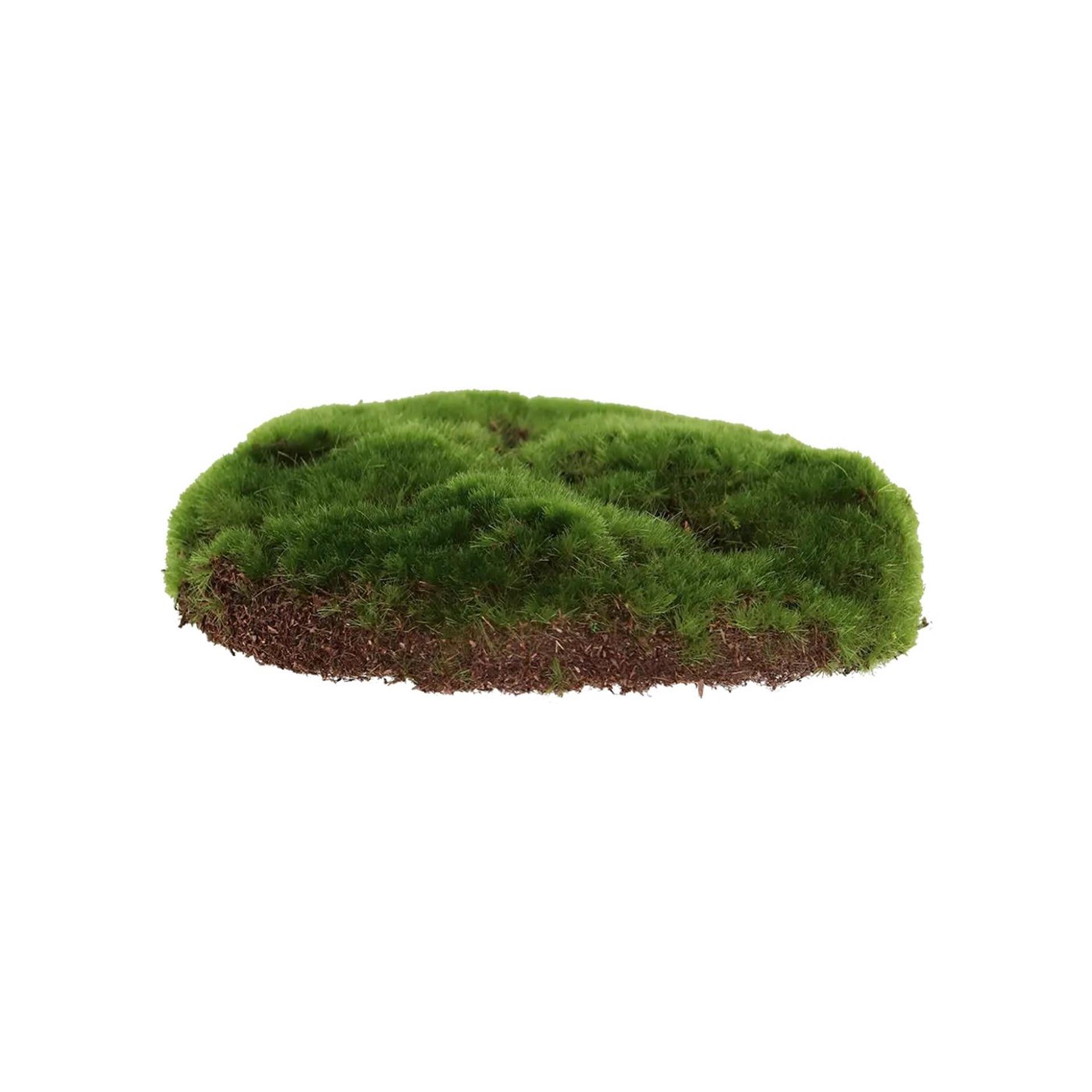 Esschert design mousse artificielle s 15x13cm