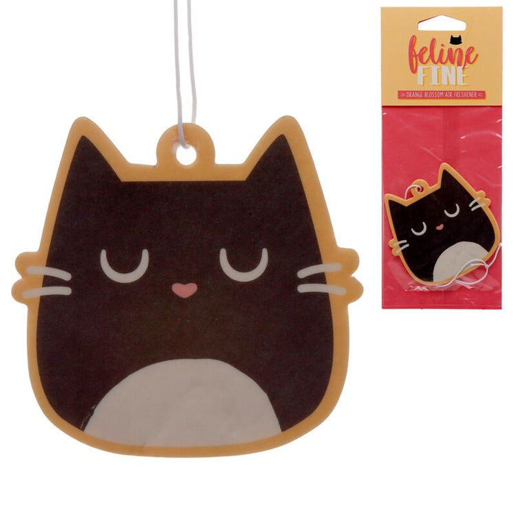 Fleur d'orange - frisien d'air de chat fin félin