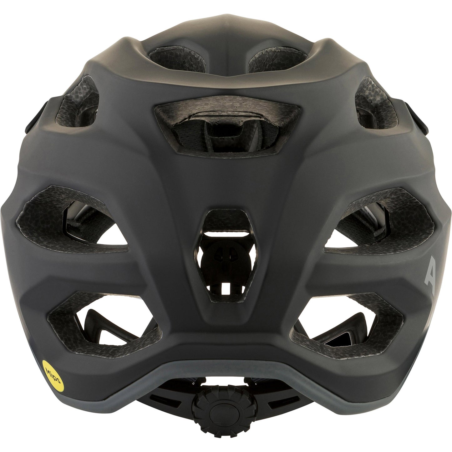 Alpina apax mips - casque vtt