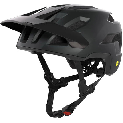 Alpina taunus mips - casque vtt