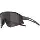 Alpina sonic hr m q-lite - lunettes de sport