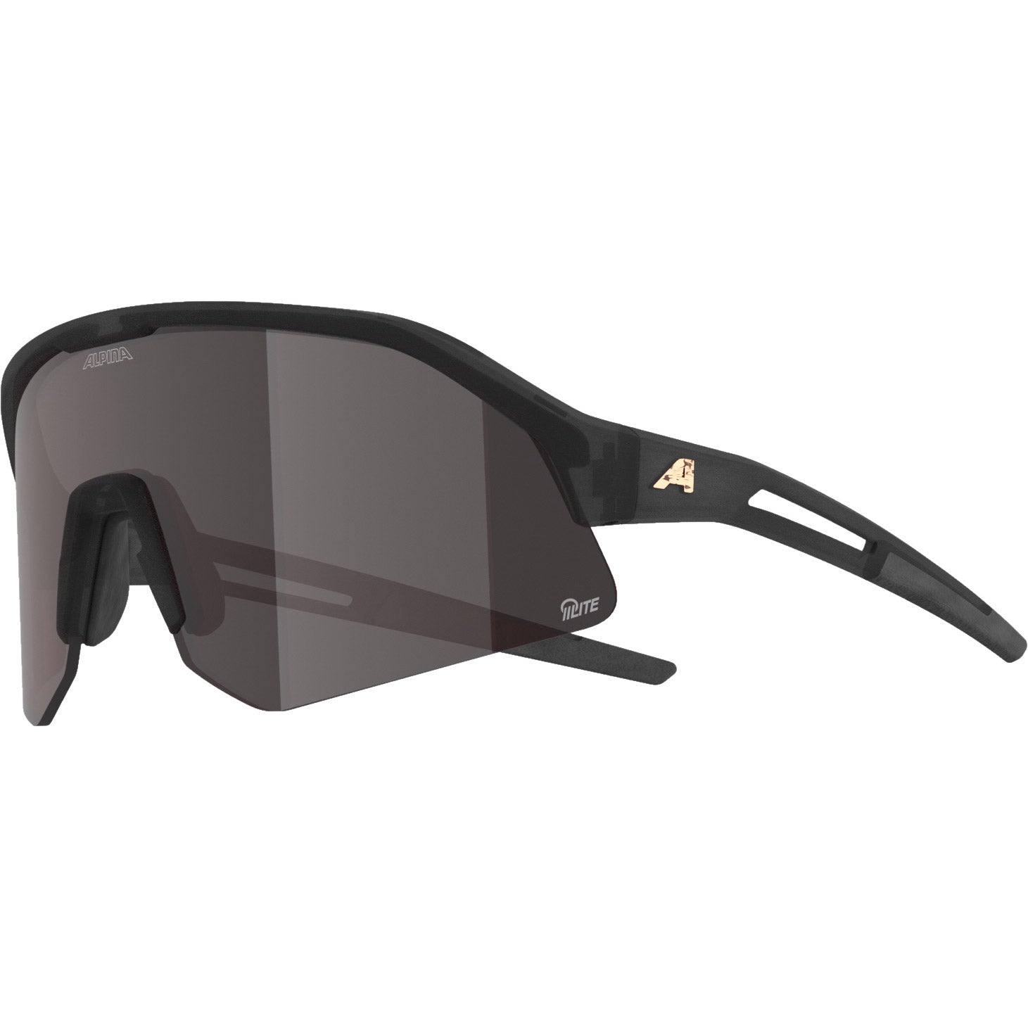 Alpina sonic hr m q-lite - lunettes de sport