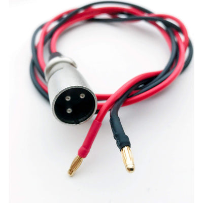 Câble de test universel de batterie avec des contacts de 3 mm