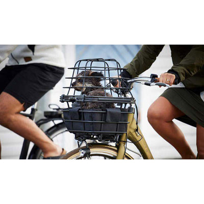 Dôme métallique Atranvelo epic multi grille d'animaux epic multi noir