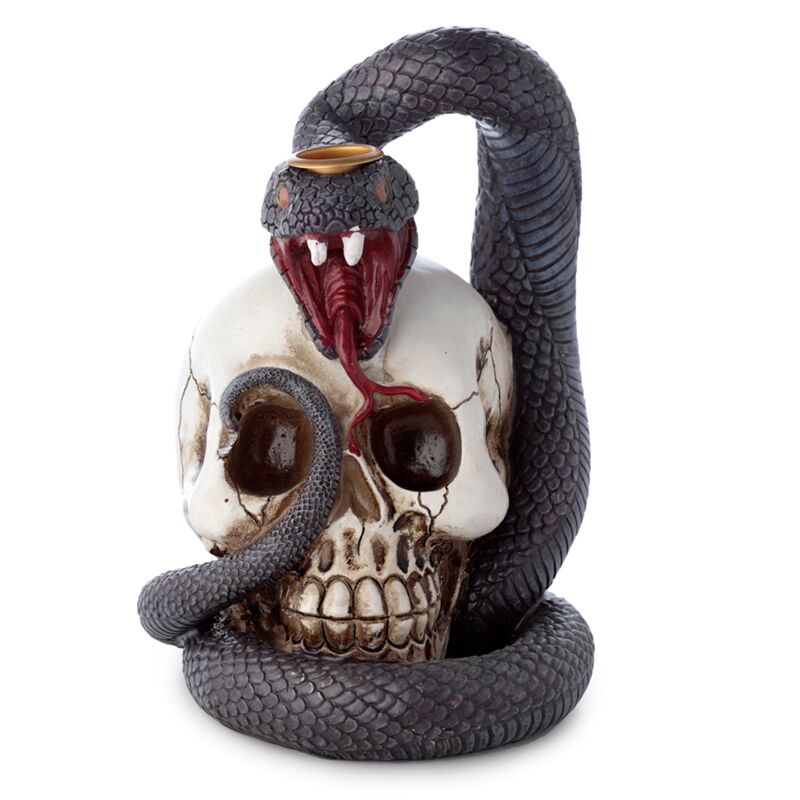 Porte-encens de reflux de serpent et de crâne
