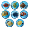 Fish tropical 3D rebondissant Baute petite