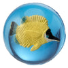 Fish tropical 3D rebondissant Baute petite