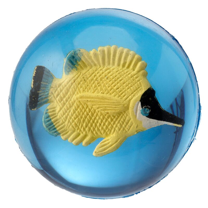 Fish tropical 3D rebondissant Baute petite
