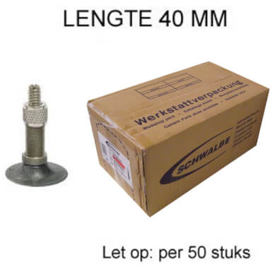 Emballage d'atelier de Schwalbe Tube intérieur 28 pouces DV19 (P50)