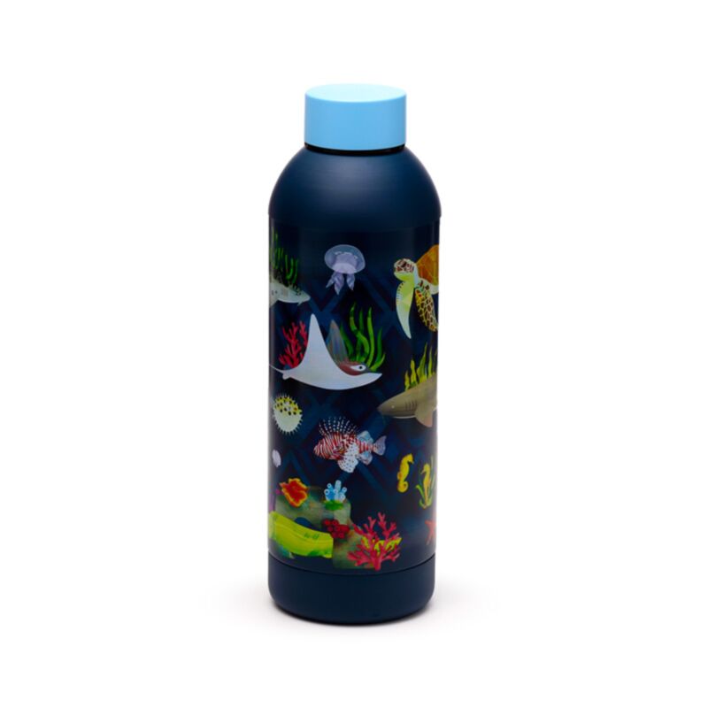Royaume marin Thermosfless 530 ml