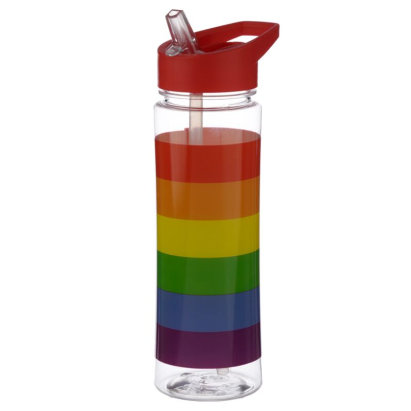Somewere arc-en-ciel durable 550ml bouteille d’eau flip paille