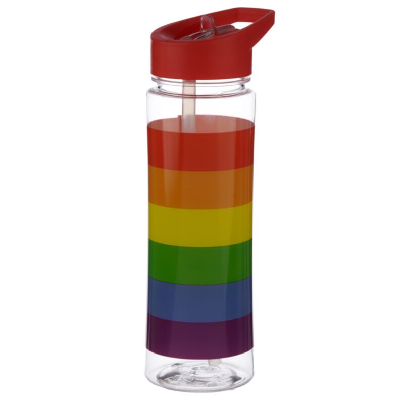 Somewere arc-en-ciel durable 550ml bouteille d’eau flip paille