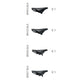 Brooks cambium kit 1 (4 selles d'essai)