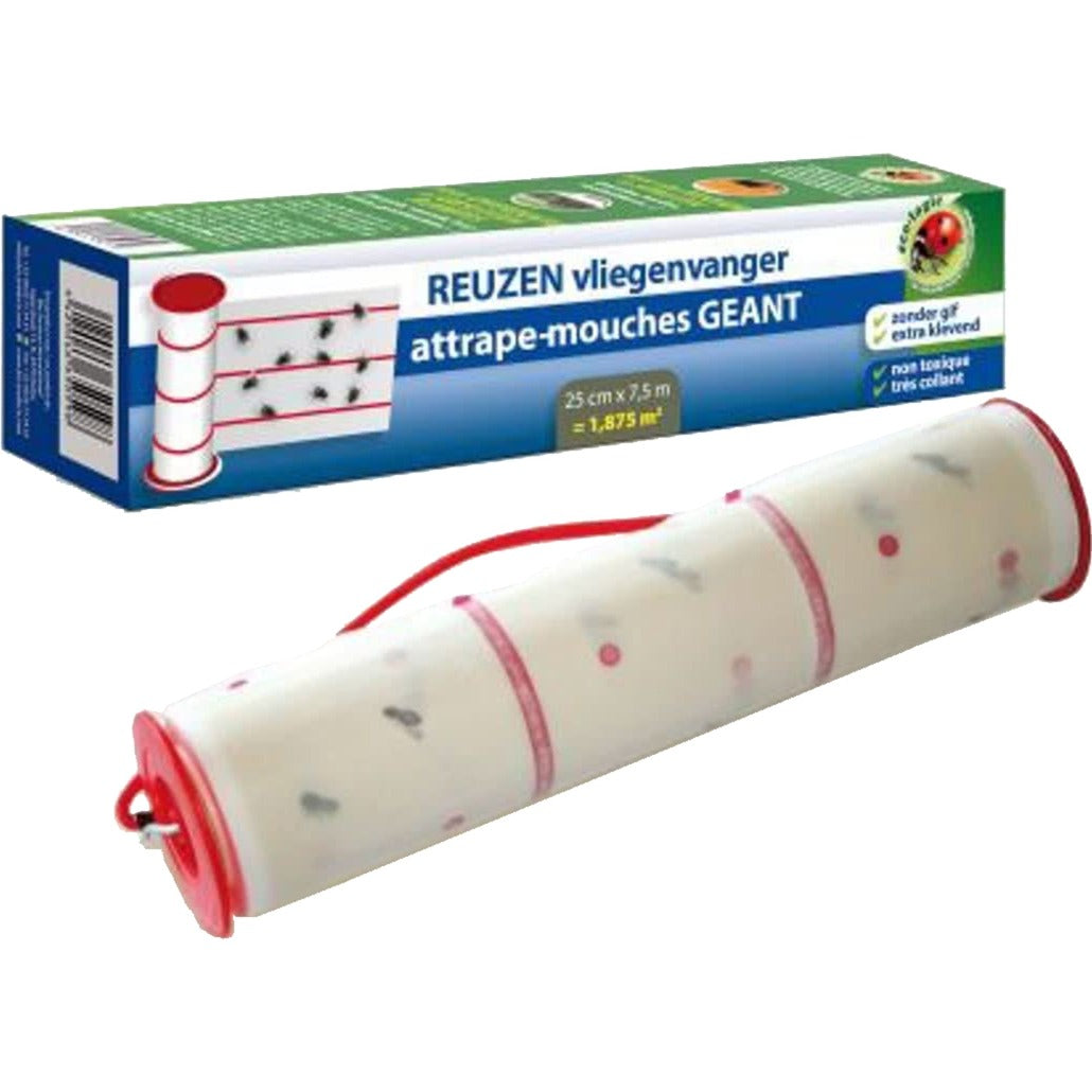 BSI Moucherolle géant