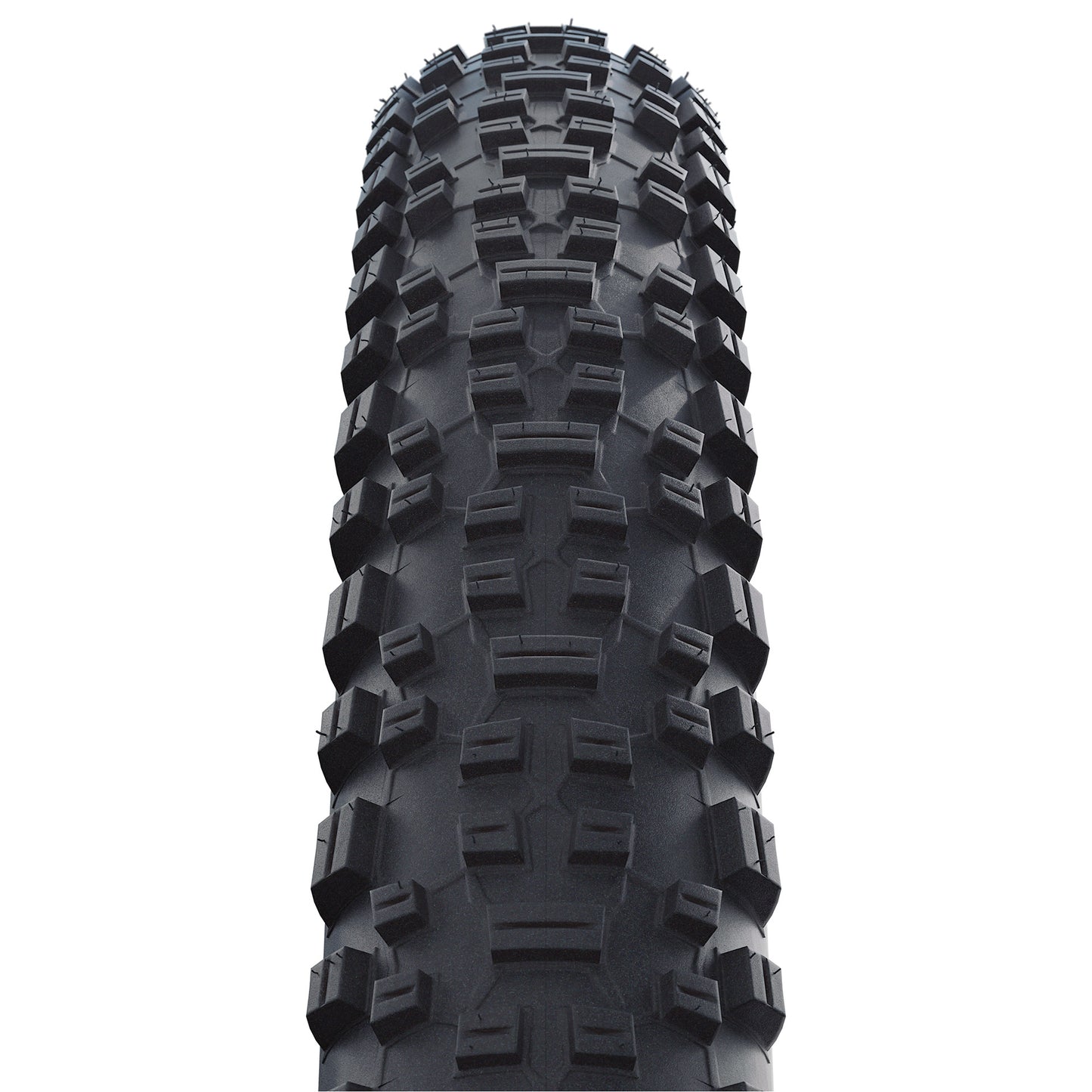 Rapid Rob 27,5 x 2,25 (57-584) noir