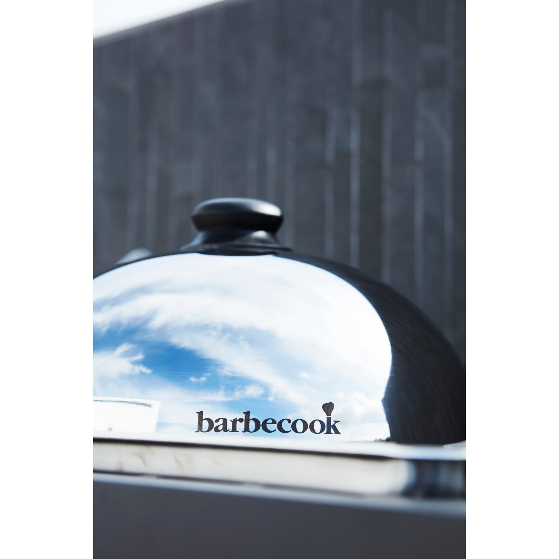 BarboCook Olivia Plancha Dome de l'acier inoxydable Ø 30cm