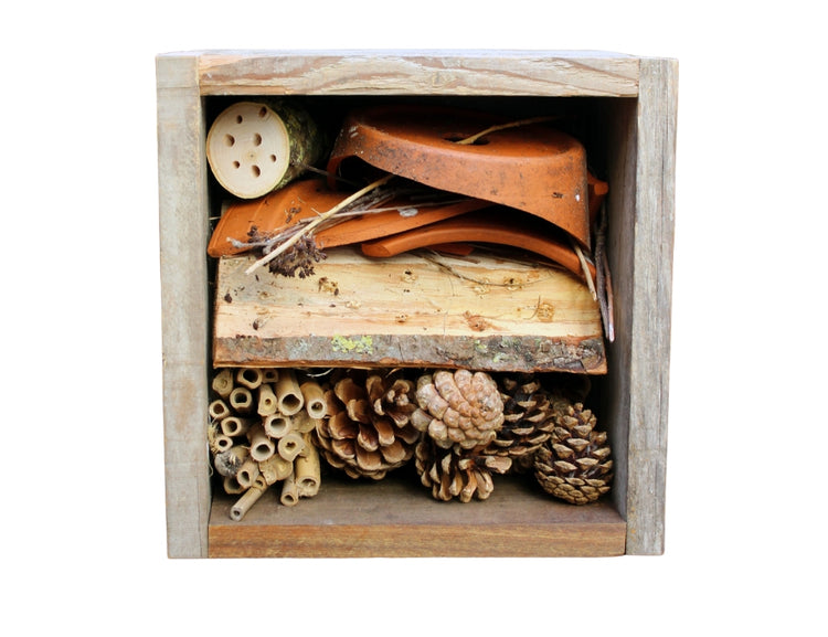 Hôtel à insectes DIY plus familier avec le climat - 30 x 30 x 15 cm