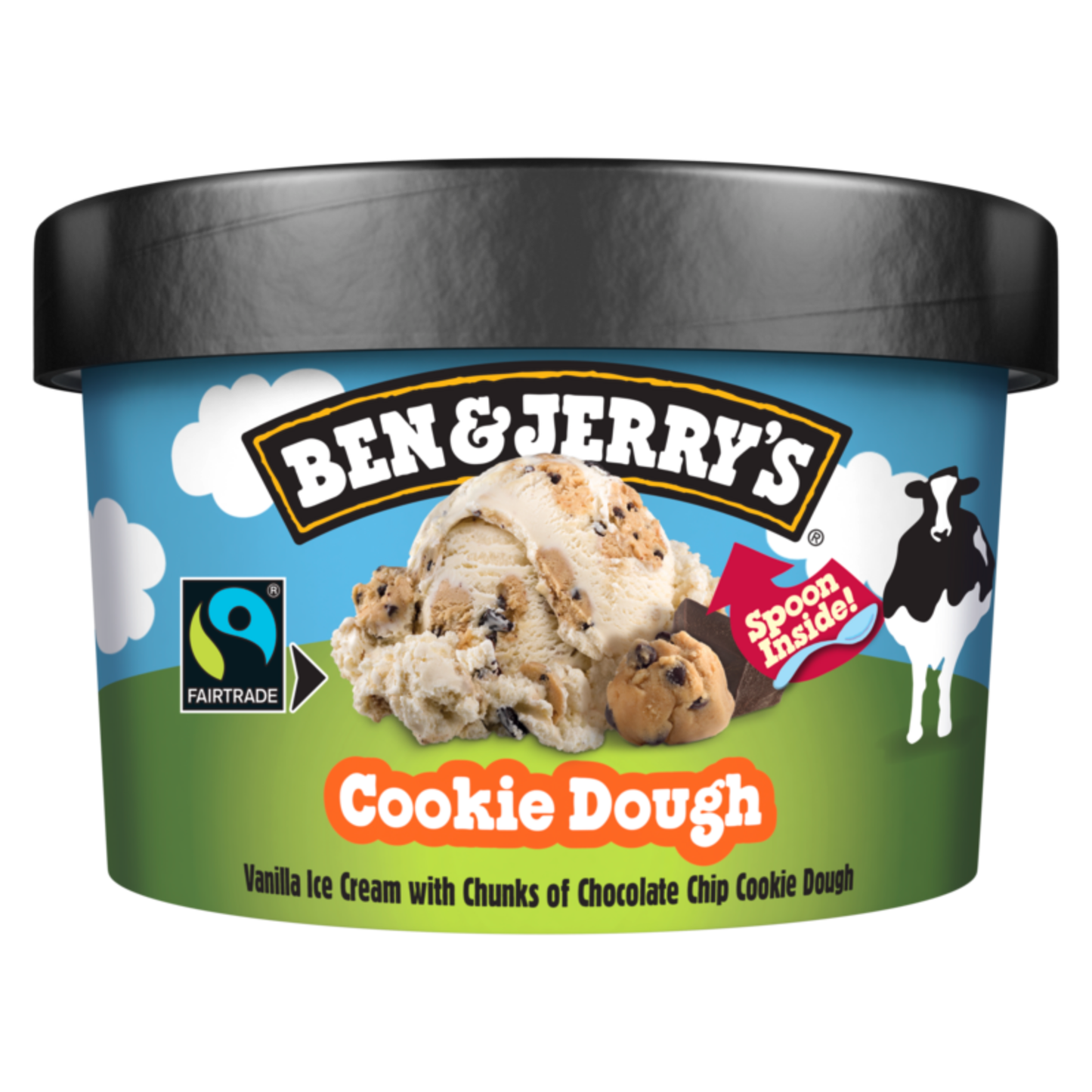 Pâte à biscuits shortie Ben Jerry's (12x 100 ml)