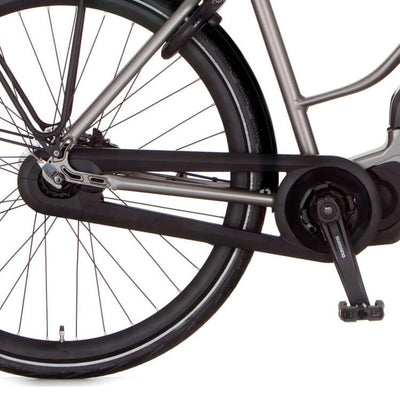 Cortina Chain Gard
