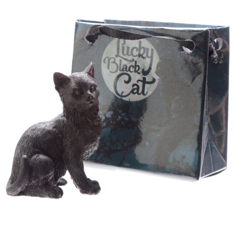Chat Lucky Black dans Mini Gift Sacs