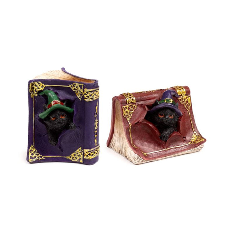 Sorcières Black Cat Mischieuwous Spell Book