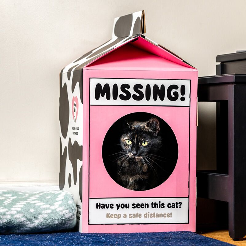 Do-it-yourself 100% en carton Cat Playhouse