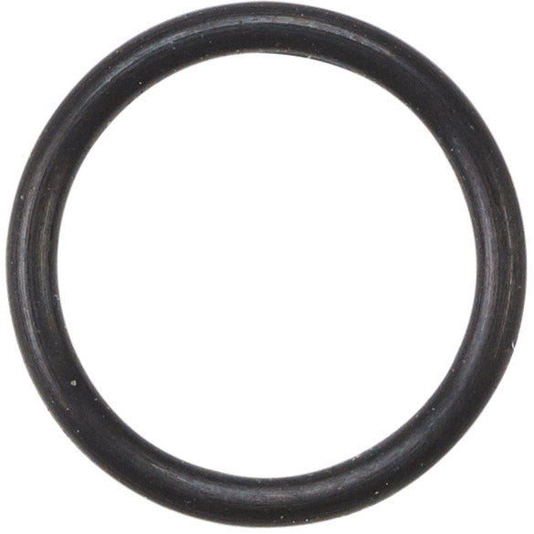Elvedes joint torique SRAM banjo 2019110 (20x)