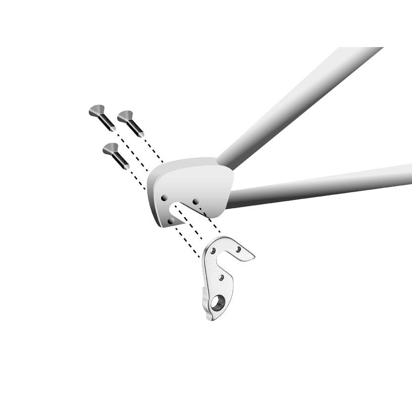 Patin de dérailleur Union GH-154 diverses marques avec kit de vis