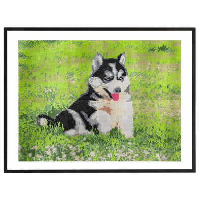 Peinture diamant Craft id, 40x50cm, chien