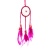 Mini Feathers Catchers de rêve