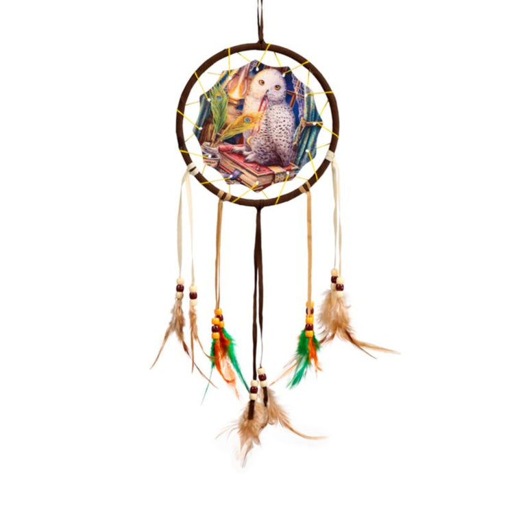 Lisa Parker Wachter de Proverbs Owl Dreamcatcher 16cm