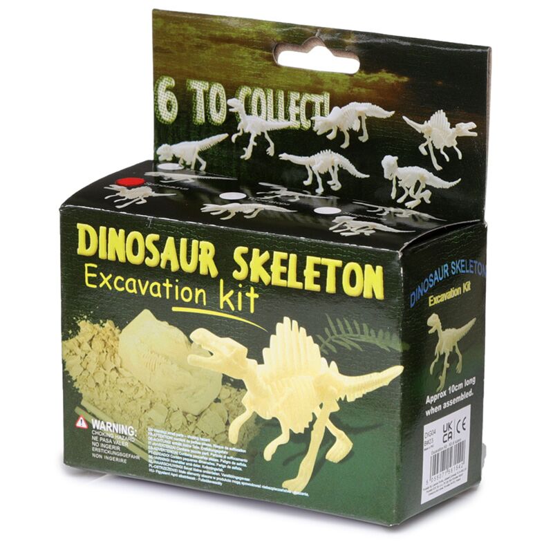 Small Dinosaur Skeleton Excavation Ensemble