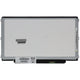 Écran LCD OEM 12,5 pouces 1366x768 MAT 30pin EDP