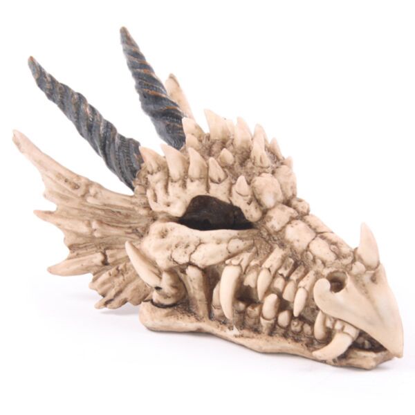 Draghen Schedel Money Box