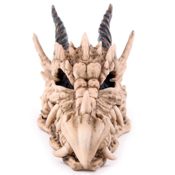 Draghen Schedel Money Box