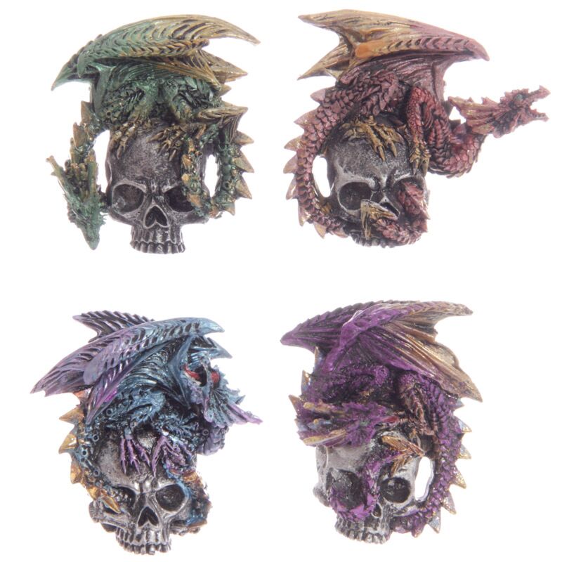 Aimant de crâne de dragon gothique