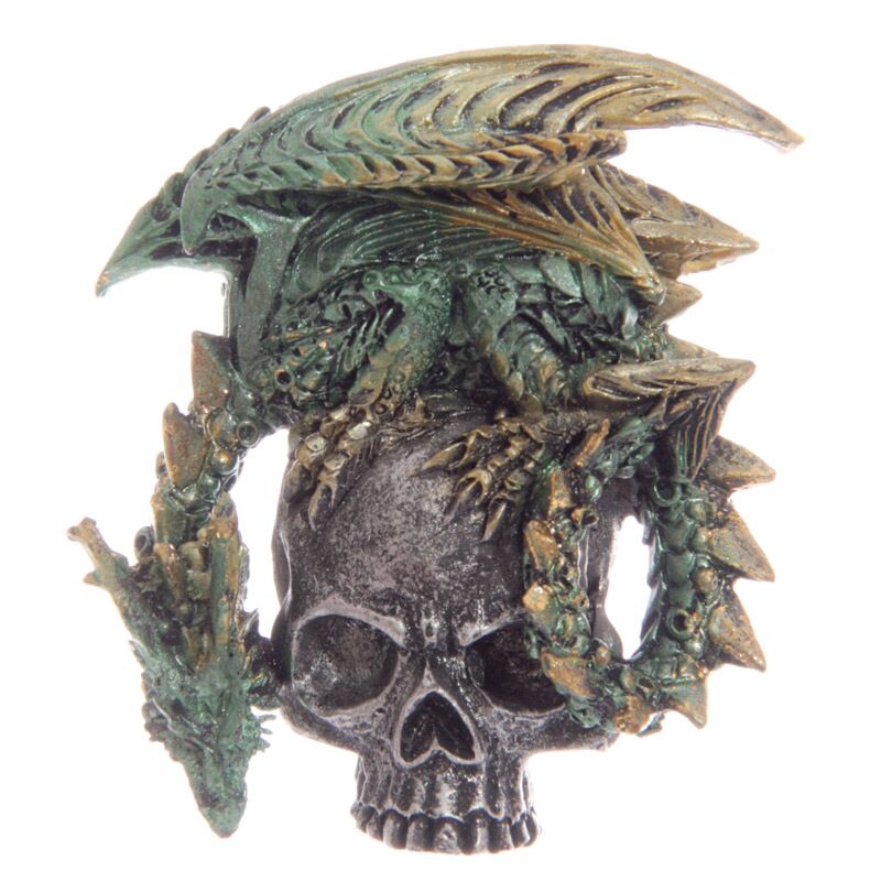 Aimant de crâne de dragon gothique
