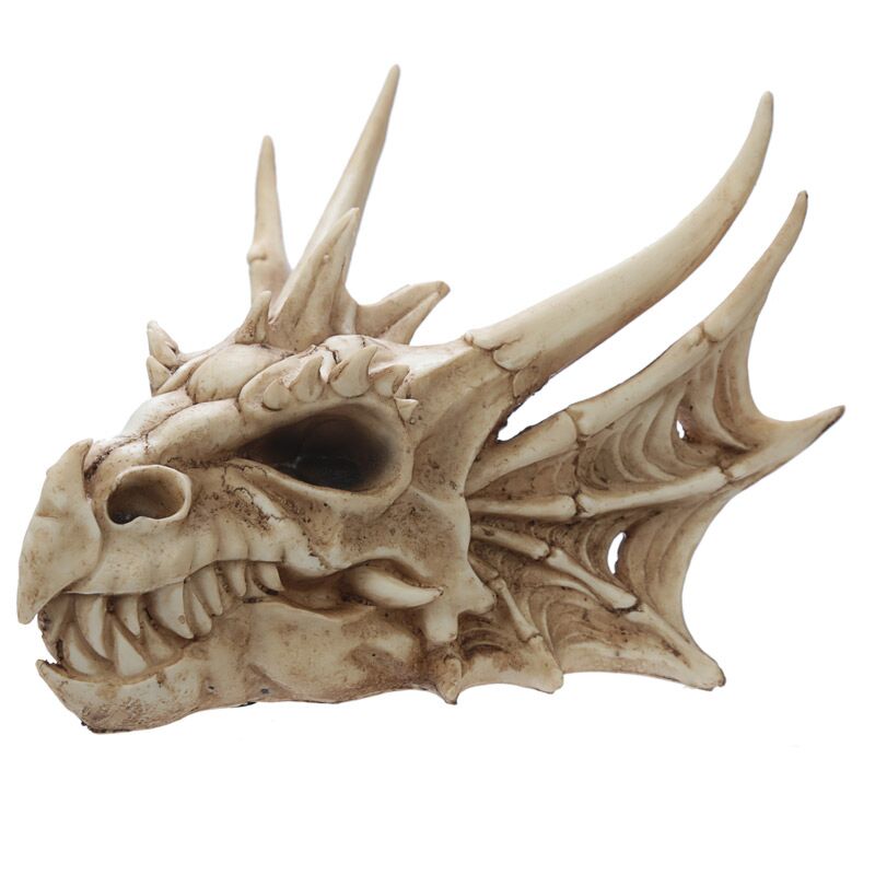 Décoration du crâne de dragon