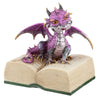 Éléments Dragon avec livre