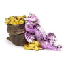Éléments Treasure Dragon