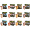 Gemstars Fee dans un mini sac cadeau
