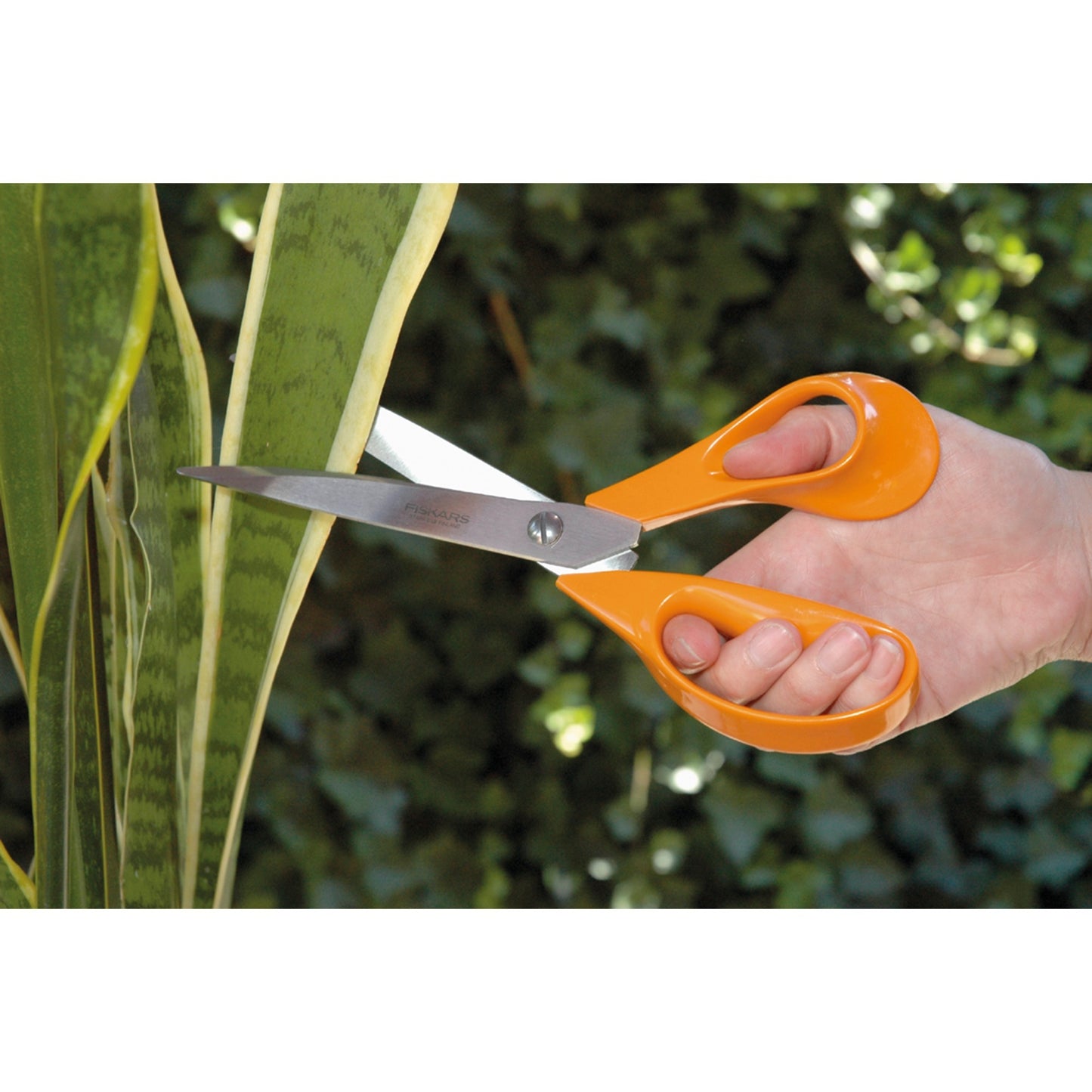 Ciseaux universels Fiskars, 24 cm S94