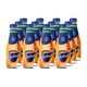 Bouteille pet drapeau frison bande dorée (12x 500ml)