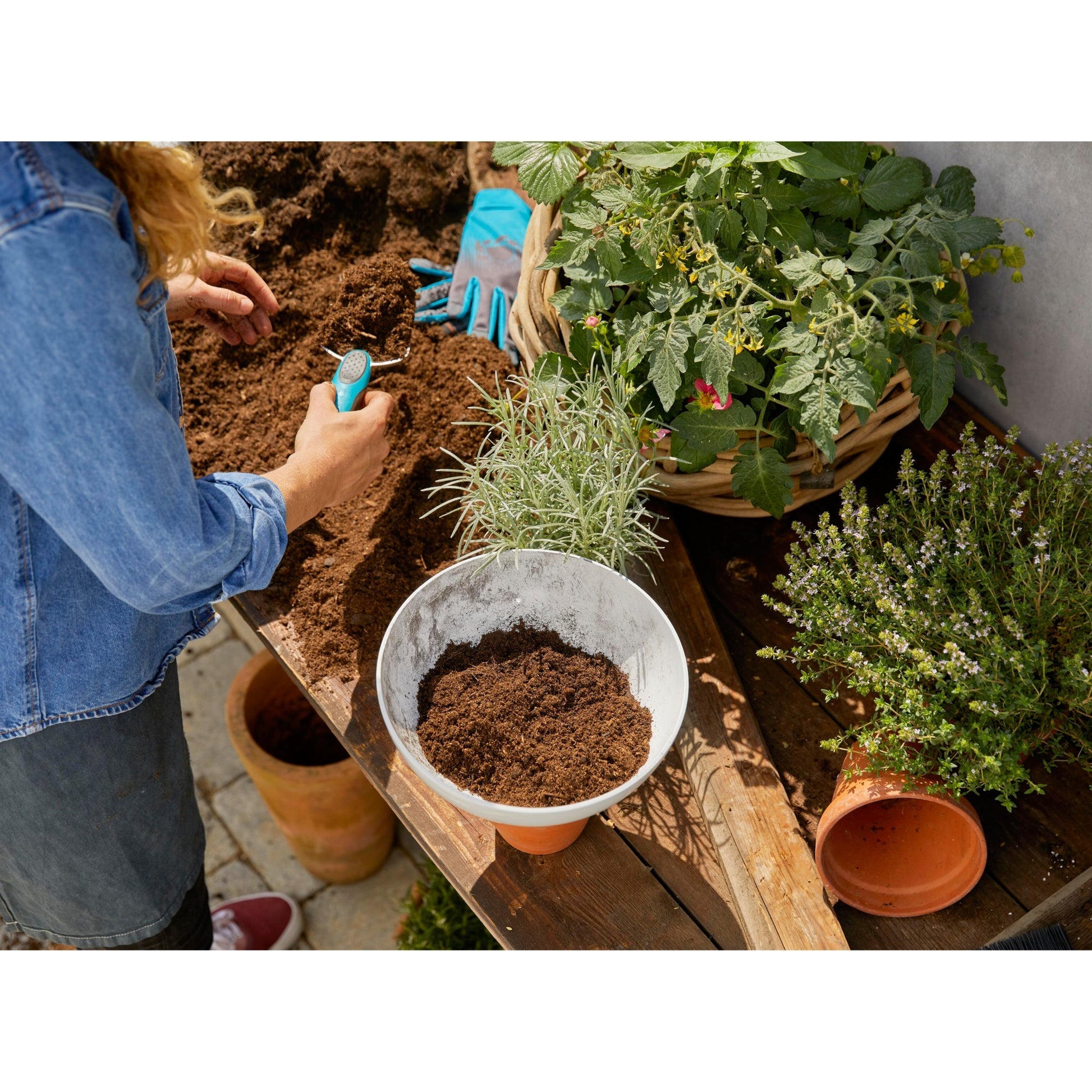 Gardena Clickup! Planteur