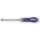 Tourne des tournevis bernese Torx Topline Tx 15 x 80 mm