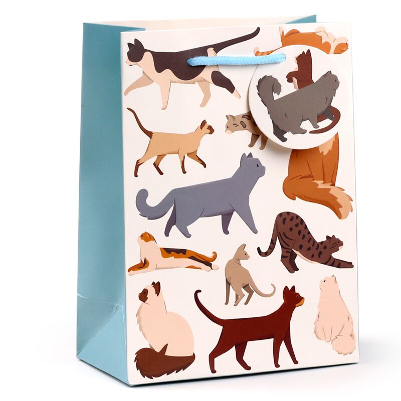 Feline Fine Cats - Médium du sac cadeau