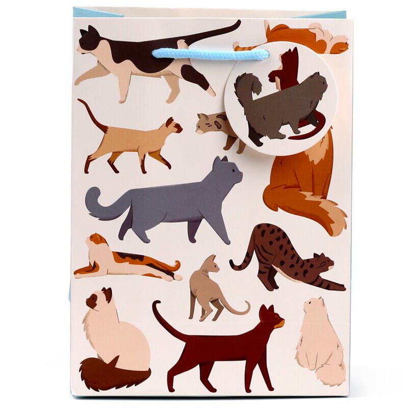Feline Fine Cats - Médium du sac cadeau