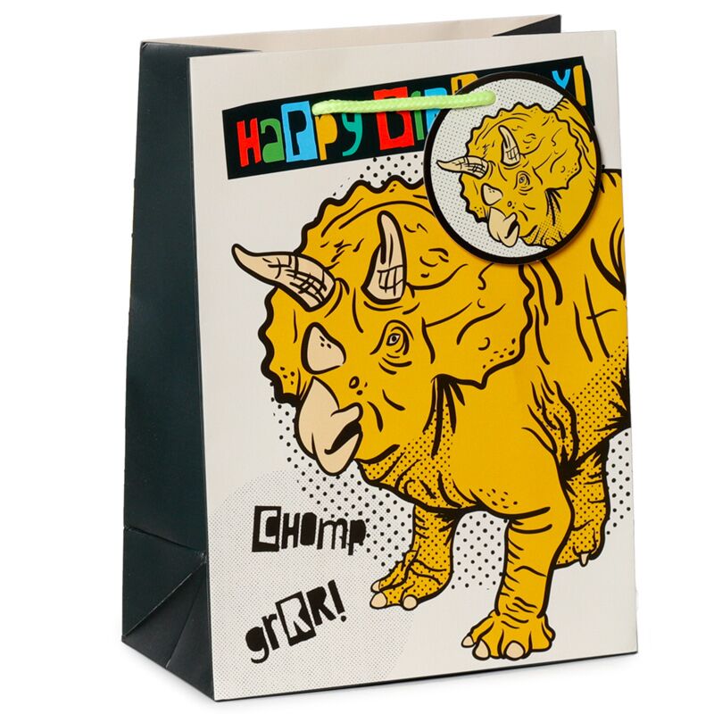 Joyeux anniversaire Dinosaures - Médium du sac cadeau